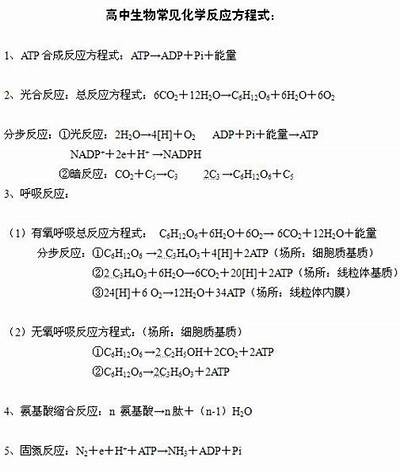 建筑材料化学反应方程式大全，建筑材料的化学方程式